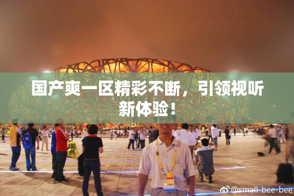 国产爽一区精彩不断，引领视听新体验！