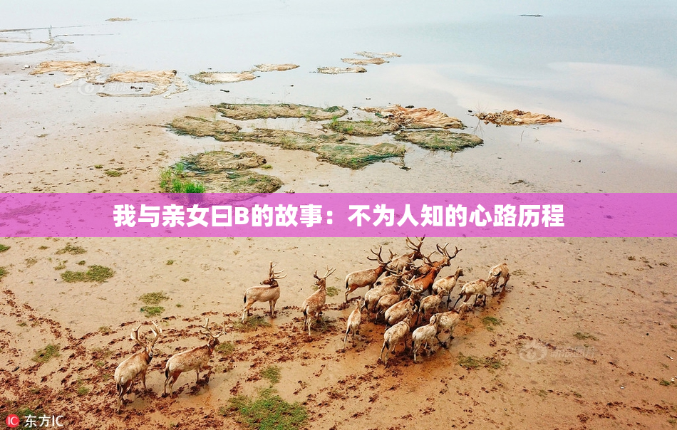 我与亲女曰B的故事：不为人知的心路历程