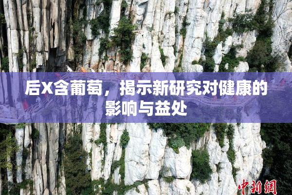 后X含葡萄，揭示新研究对健康的影响与益处