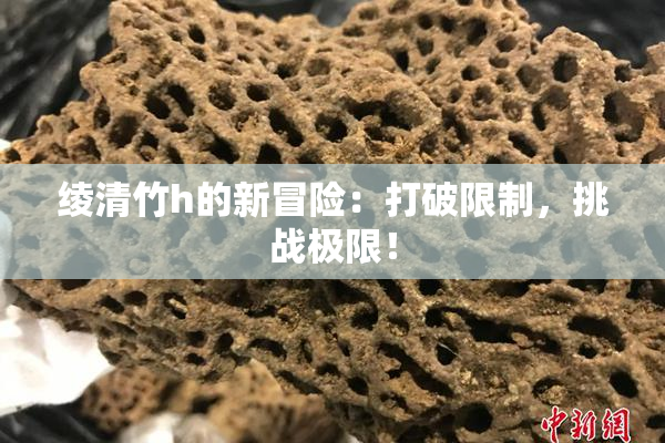 绫清竹h的新冒险：打破限制，挑战极限！