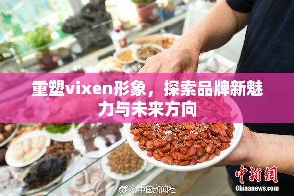 重塑vixen形象，探索品牌新魅力与未来方向