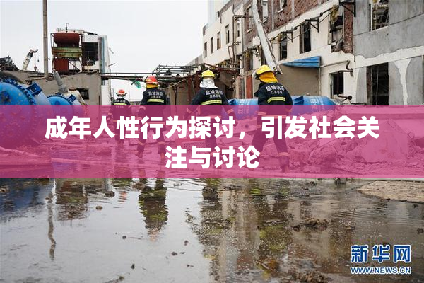 成年人性行为探讨，引发社会关注与讨论