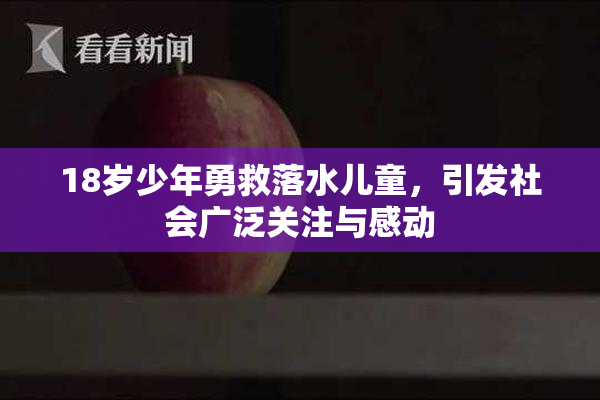 18岁少年勇救落水儿童，引发社会广泛关注与感动