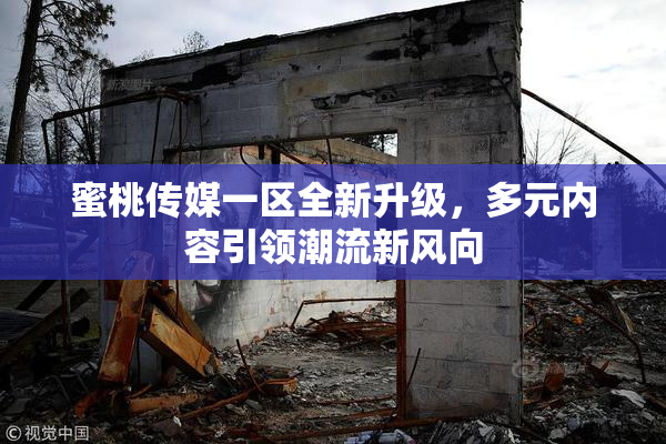 蜜桃传媒一区全新升级，多元内容引领潮流新风向