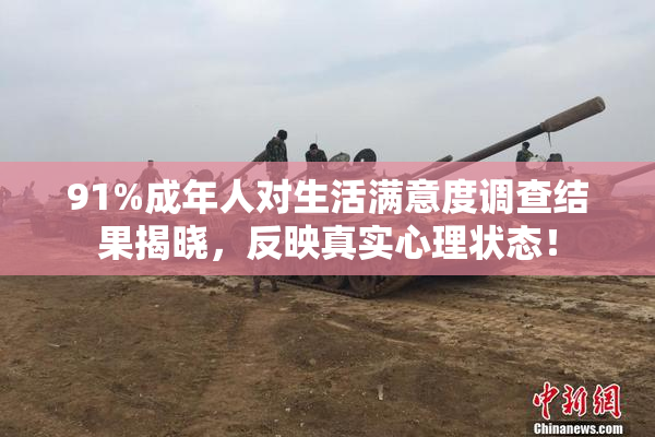 91%成年人对生活满意度调查结果揭晓，反映真实心理状态！