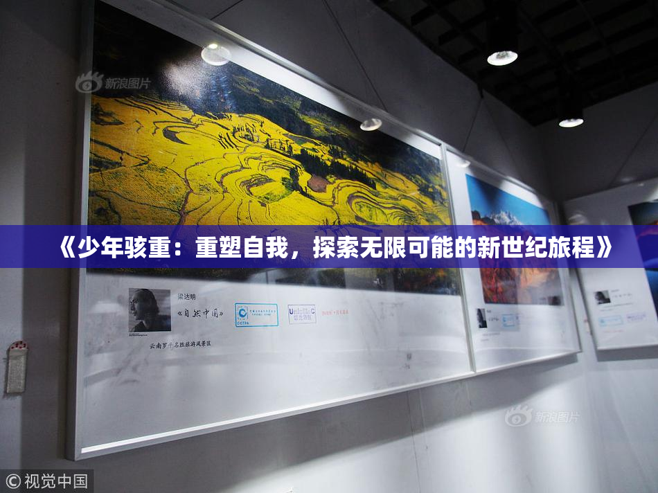 《少年骇重：重塑自我，探索无限可能的新世纪旅程》