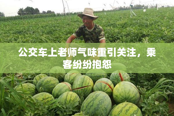公交车上老师气味重引关注，乘客纷纷抱怨