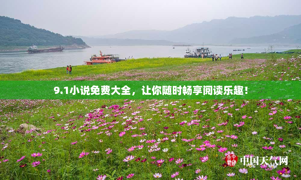 9.1小说免费大全，让你随时畅享阅读乐趣！
