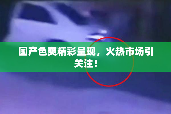 国产色爽精彩呈现，火热市场引关注！