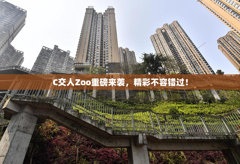 C交人Zoo重磅来袭，精彩不容错过！