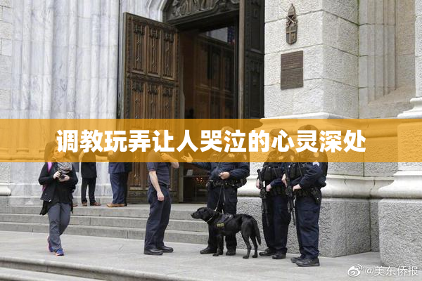 调教玩弄让人哭泣的心灵深处