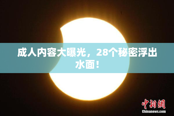 成人内容大曝光，28个秘密浮出水面！