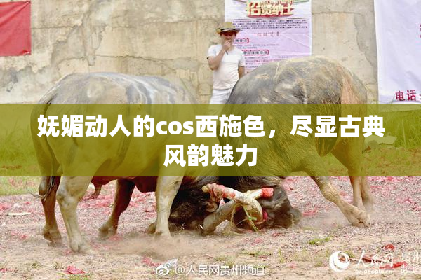 妩媚动人的cos西施色，尽显古典风韵魅力