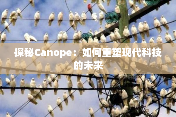 探秘Canope：如何重塑现代科技的未来