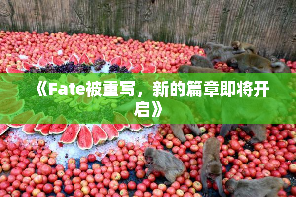 《Fate被重写，新的篇章即将开启》