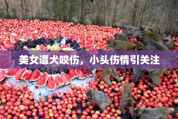 美女遭犬咬伤，小头伤情引关注