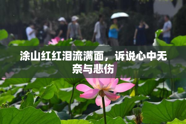 涂山红红泪流满面，诉说心中无奈与悲伤