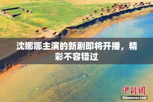 沈娜娜主演的新剧即将开播，精彩不容错过