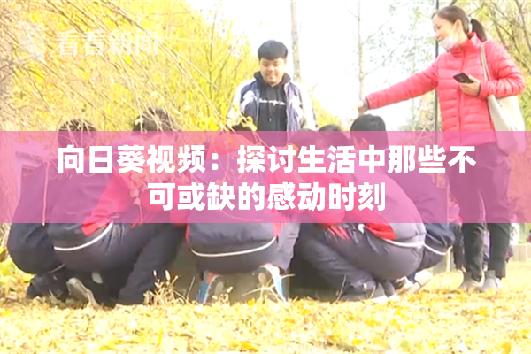向日葵视频：探讨生活中那些不可或缺的感动时刻