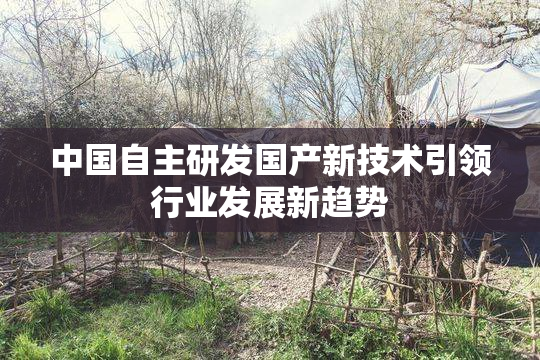 中国自主研发国产新技术引领行业发展新趋势