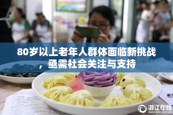 80岁以上老年人群体面临新挑战，亟需社会关注与支持