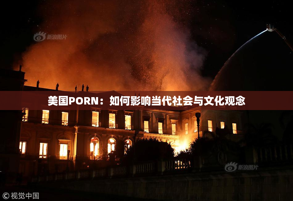 美国PORN：如何影响当代社会与文化观念