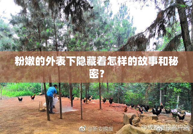 粉嫩的外表下隐藏着怎样的故事和秘密？