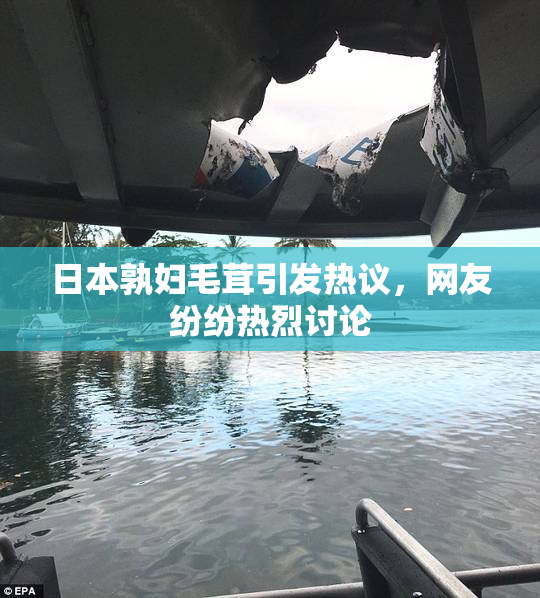 日本孰妇毛茸引发热议，网友纷纷热烈讨论