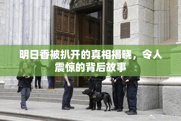 明日香被扒开的真相揭晓，令人震惊的背后故事