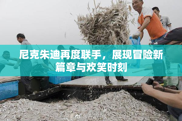 尼克朱迪再度联手，展现冒险新篇章与欢笑时刻