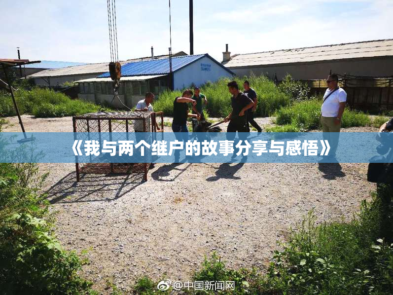 《我与两个继户的故事分享与感悟》