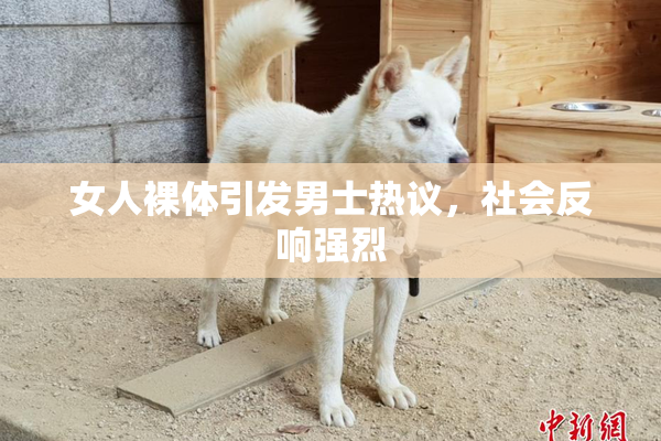 女人裸体引发男士热议，社会反响强烈