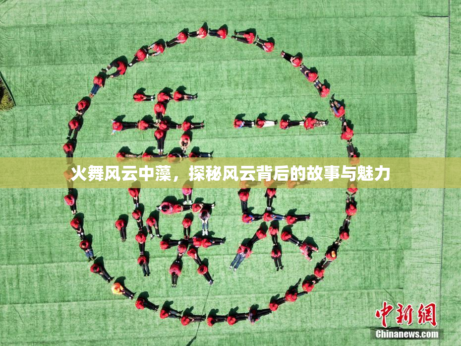 火舞风云中藻，探秘风云背后的故事与魅力