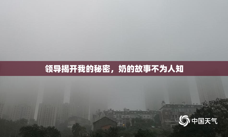 领导揭开我的秘密，奶的故事不为人知