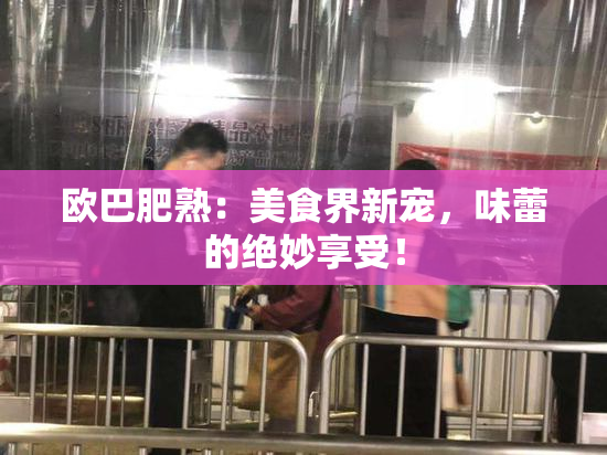 欧巴肥熟：美食界新宠，味蕾的绝妙享受！
