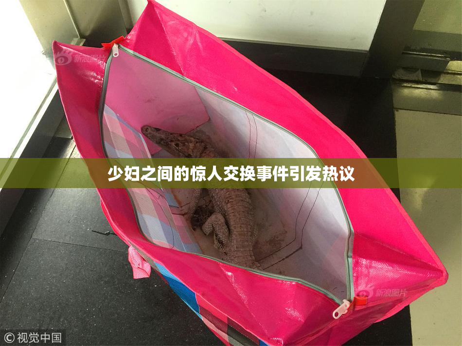少妇之间的惊人交换事件引发热议