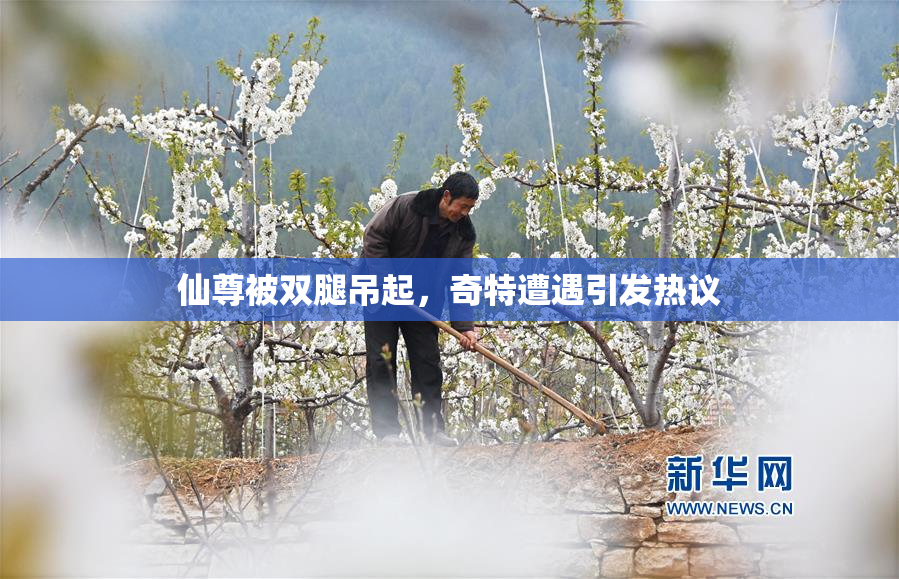 仙尊被双腿吊起，奇特遭遇引发热议