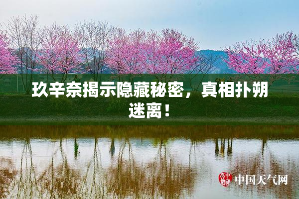玖辛奈揭示隐藏秘密，真相扑朔迷离！