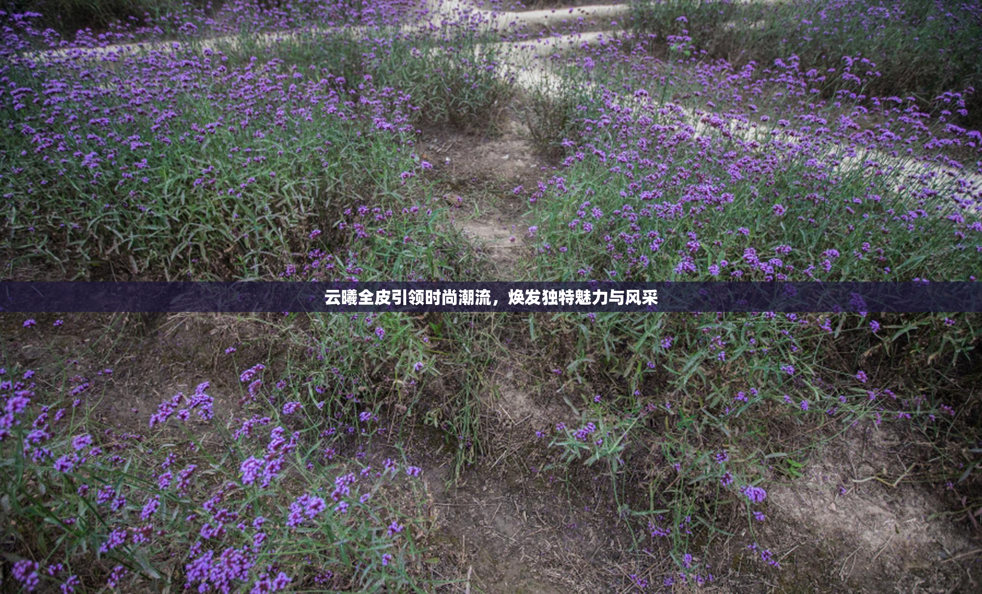 云曦全皮引领时尚潮流，焕发独特魅力与风采