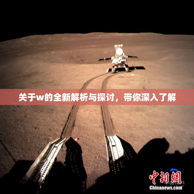 关于w的全新解析与探讨，带你深入了解