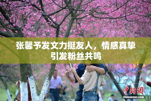 张馨予发文力挺友人，情感真挚引发粉丝共鸣