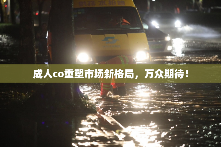 成人co重塑市场新格局，万众期待！
