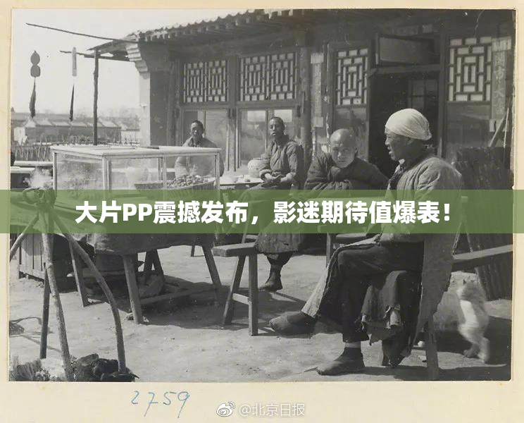 大片PP震撼发布，影迷期待值爆表！