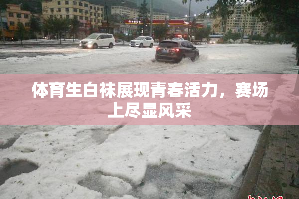 体育生白袜展现青春活力，赛场上尽显风采