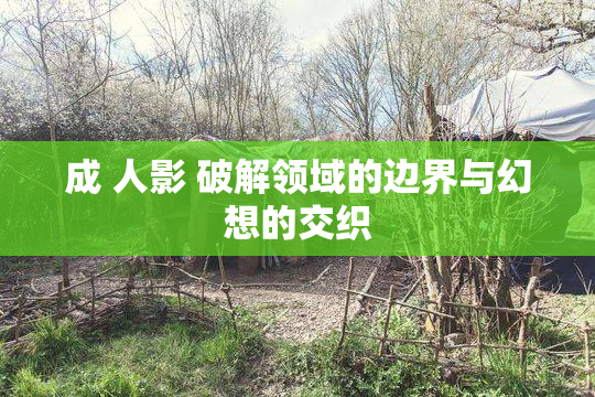 成 人影 破解领域的边界与幻想的交织