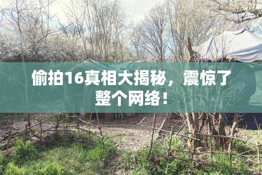 偷拍16真相大揭秘，震惊了整个网络！