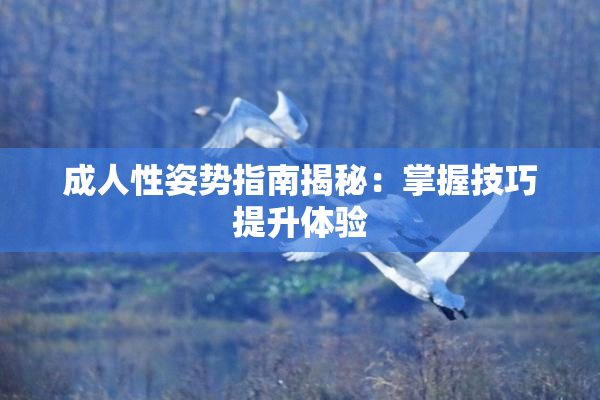 成人性姿势指南揭秘：掌握技巧提升体验