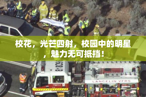 校花，光芒四射，校园中的明星，魅力无可抵挡！