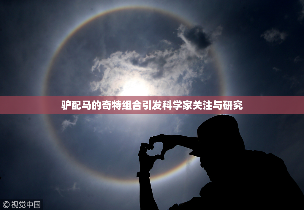 驴配马的奇特组合引发科学家关注与研究