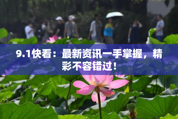 9.1快看：最新资讯一手掌握，精彩不容错过！